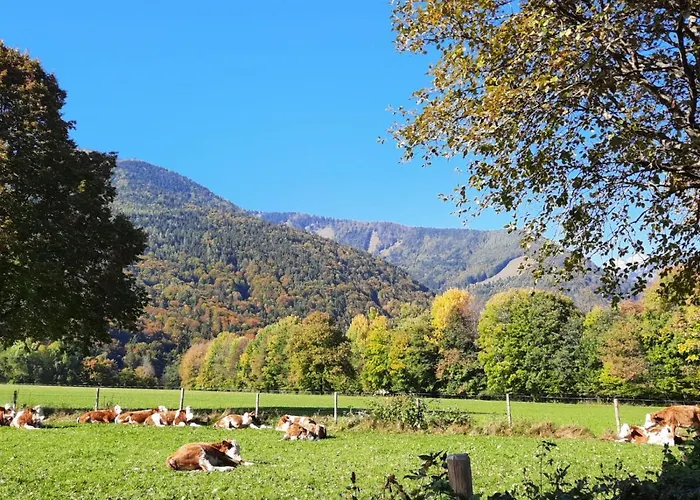 Alpenflair شقة